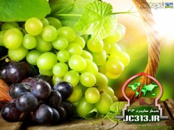طب الائمه -میوه ها( انگور)